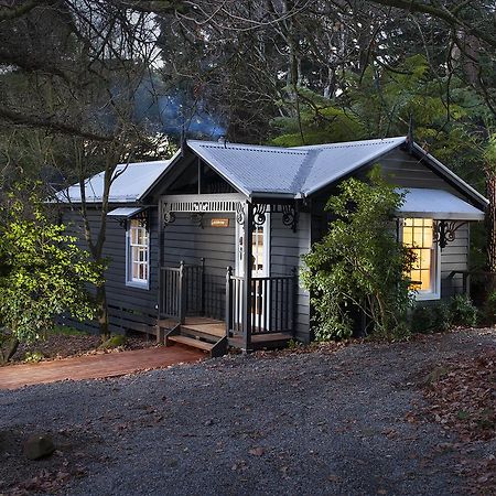 Leddicott Cottage Olinda Exterior photo